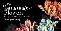 The Language of Flowers: Loving support from the wisdom of nature