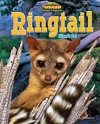 Ringtail: Miner's Cat