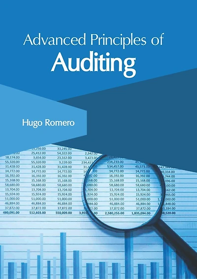 Advanced Principles Of Auditing