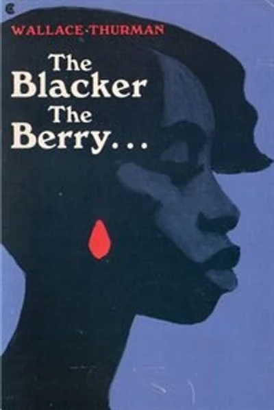 The Blacker The Berry: A Novel Of Negro Life