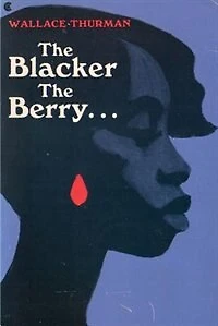 The Blacker The Berry: A Novel Of Negro Life
