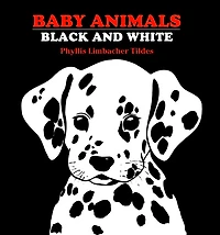 Baby Animals Black and White