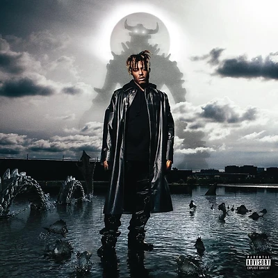 Fighting Demons by Juice WRLD (2 LPS)
