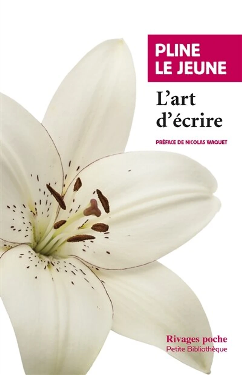 L' art d'écrire