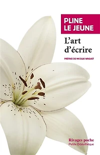 L' art d'écrire