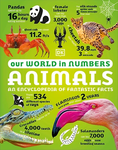 Our World Numbers Animals: An Encyclopedia of Fantastic Facts