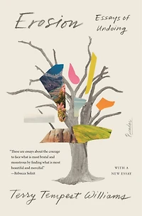 Erosion: Essays Of Undoing