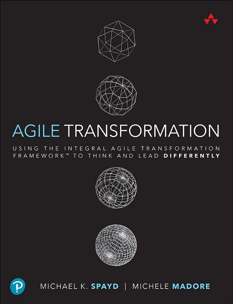 Agile Transformation: Using the Integral Transformation Framework to Think and Lead Differently