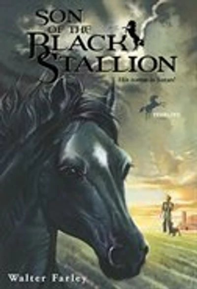 Son Of The Black Stallion