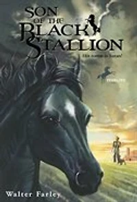 Son Of The Black Stallion