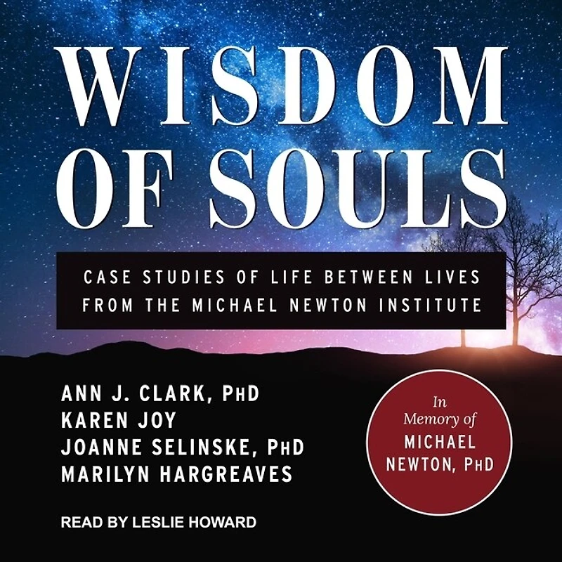 Wisdom of Souls Lib/E: Case Studies Life Between Lives from the Michael Newton Institute