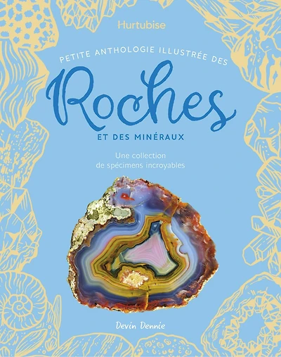 Petite anthologie illustrée des roches et des minéraux: Une collection de spécimens incroyables