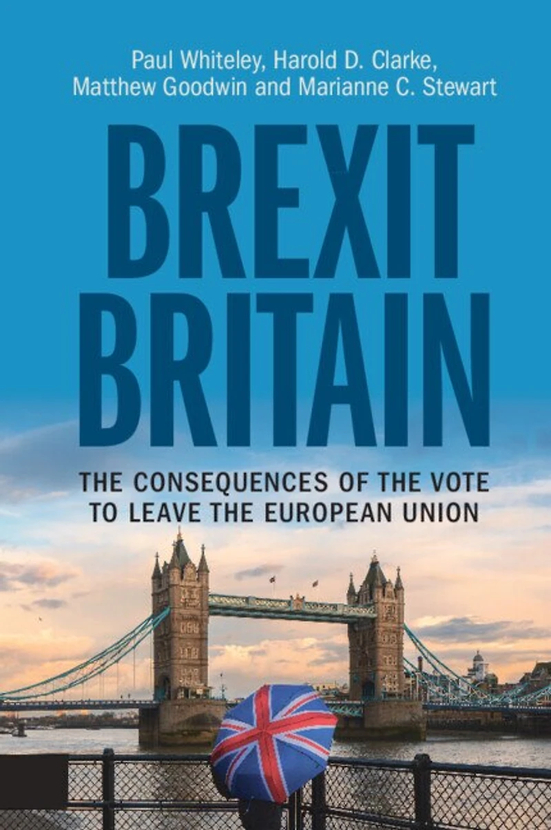 Brexit Britain: the Consequences of Vote to Leave European Union