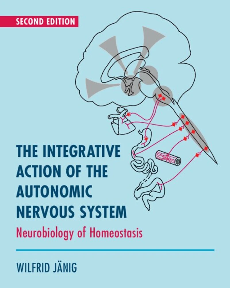 the Integrative Action of Autonomic Nervous System: Neurobiology Homeostasis
