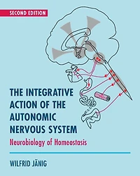 the Integrative Action of Autonomic Nervous System: Neurobiology Homeostasis