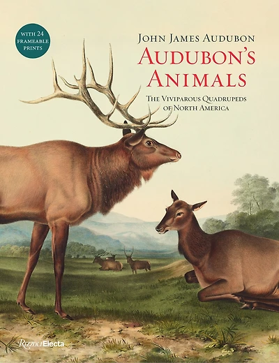 Audubon's Animals: The Viviparous Quadrupeds Of North America