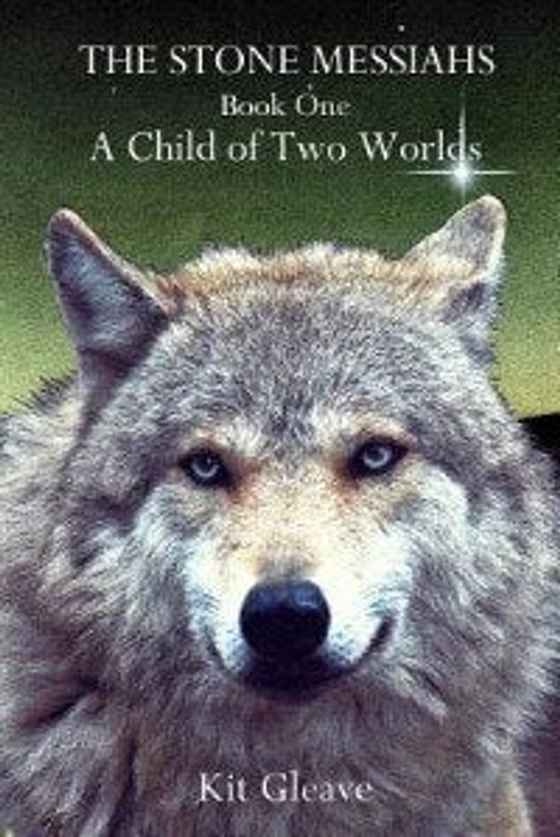 The Stone Messiahs - Book One - A Child Of Two Worlds