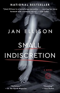 A Small Indiscretion: Novel