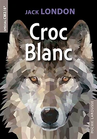 CROC BLANC SPEC.CM2 6E