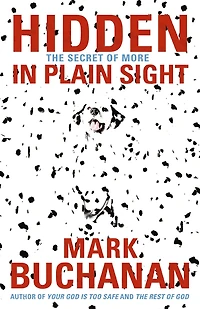 Hidden in Plain Sight: The Secret of More