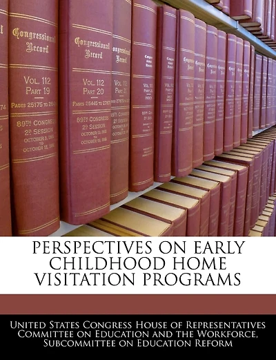 Perspectives On Early Childhood Home Visitation Programs