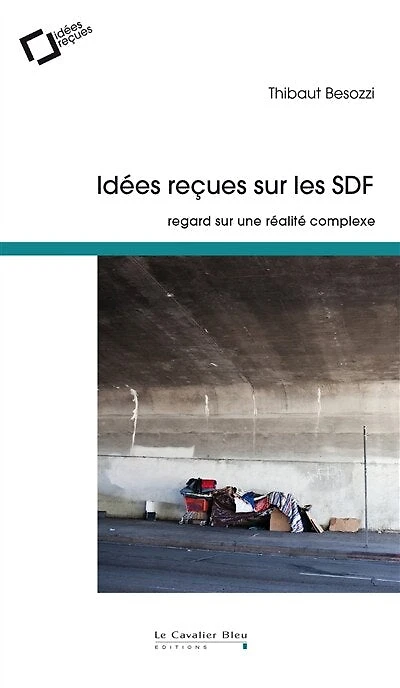 Idees recues sur les sdf: regard sur une réalité complexe