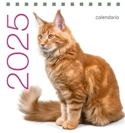 Chats: calendrier de table 2025