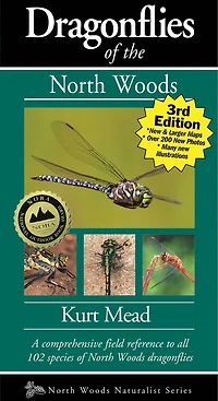 Dragonflies Of The North Woods