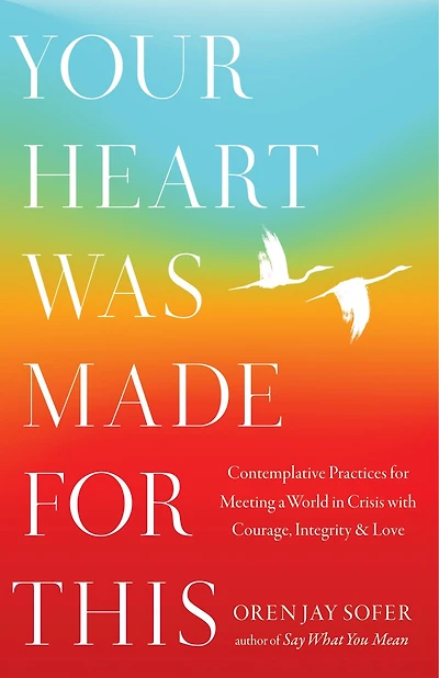 Your Heart Was Made for This: Contemplative Practices Meeting a World Crisis with Courage, Integrity, and Love