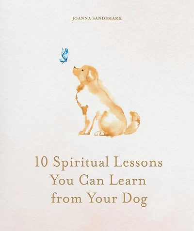 10 Spiritual Lessons You Can Learn From Your Dog: Essential Life We Our Furry Friend