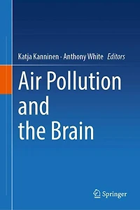 Air Pollution and the Brain