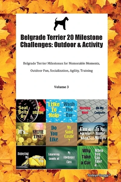 Belgrade Terrier 20 Milestone Challenges: Outdoor & Activity Belgrade Terrier Milestones For Memorable Moments, Outdoor Fun, Socialization, A