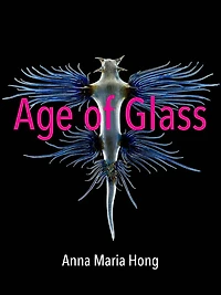 Age of Glass