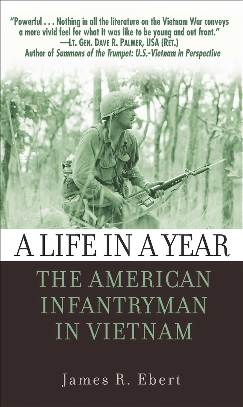 a Life Year: The American Infantryman Vietnam