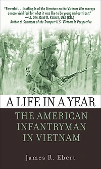 a Life Year: The American Infantryman Vietnam