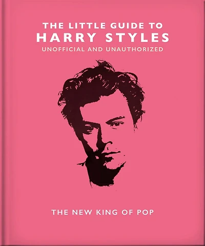 The Little Guide to Harry Styles: New King of Pop