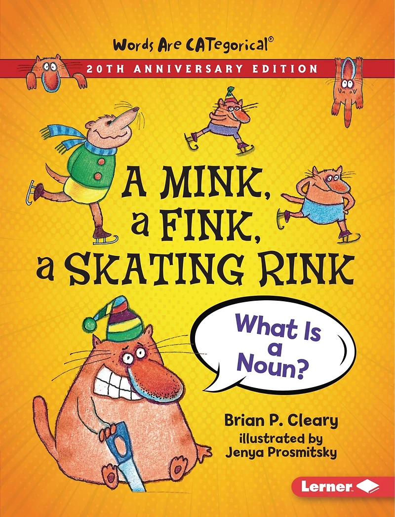 a Mink, Fink, Skating Rink, 20th Anniversary Edition: What Is Noun?
