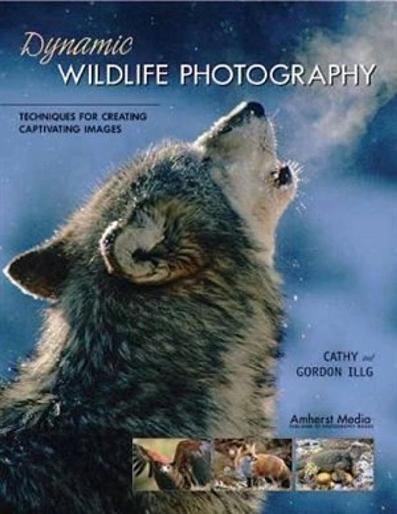 Dynamic Wildlife Photography: Techniques for Creating Captivating Images