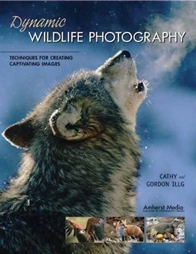 Dynamic Wildlife Photography: Techniques for Creating Captivating Images