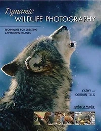 Dynamic Wildlife Photography: Techniques for Creating Captivating Images