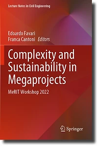 Complexity and Sustainability in Megaprojects: MeRIT Workshop