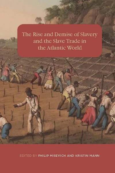 The Rise And Demise Of Slavery Slave Trade Atlantic World