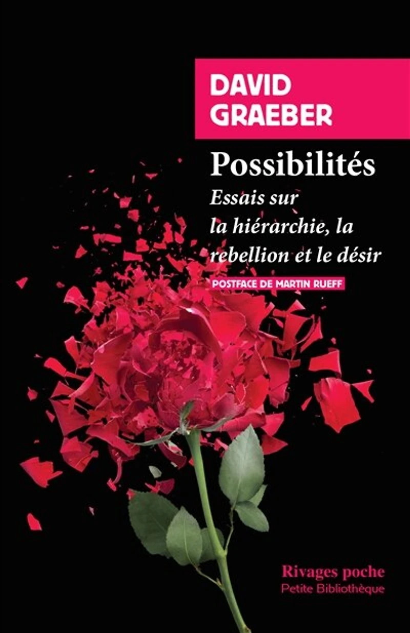 Possibilités: essais sur la hiérarchie, rébellion et le désir