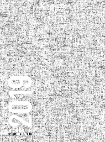 ACADEMIA Extended SPRING 2019 Monday start: 8.5x11 academic planner white noise cover