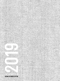 ACADEMIA Extended SPRING 2019  Monday start: 8.5x11 academic planner  white noise cover