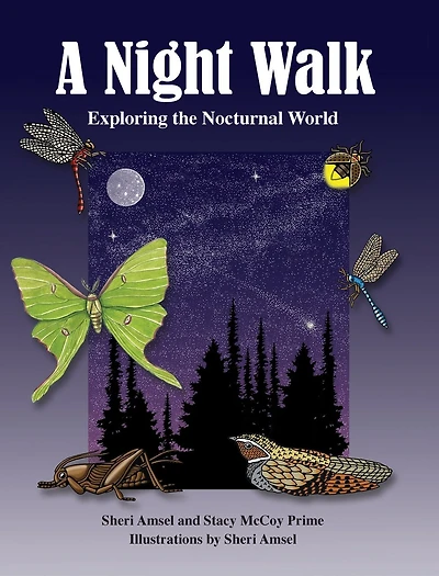 A Night Walk: Exploring the Nocturnal World