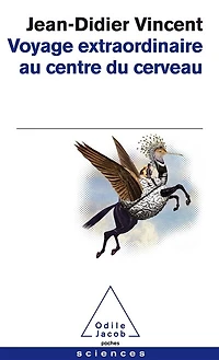 Voyage extraordinaire au centre du cerveau