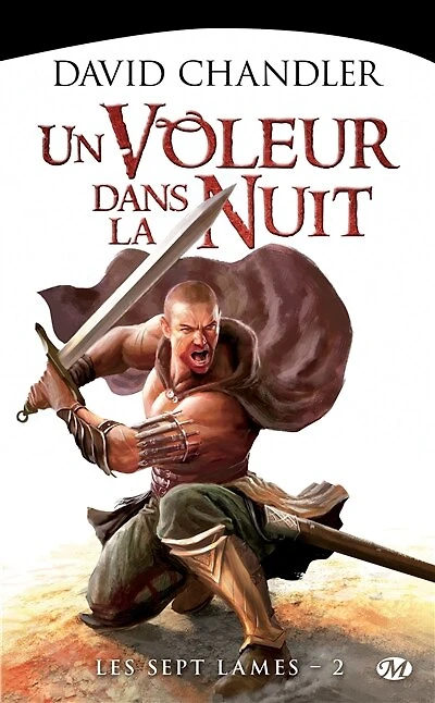 Un voleur dans la nuit