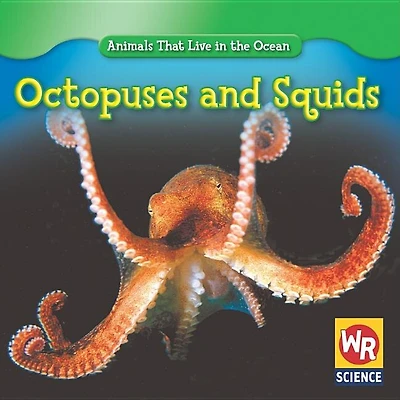 Octopuses and Squids