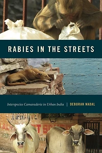 Rabies In The Streets: Interspecies Camaraderie In Urban India